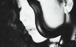 蜜芽跳转接口点击进入网站